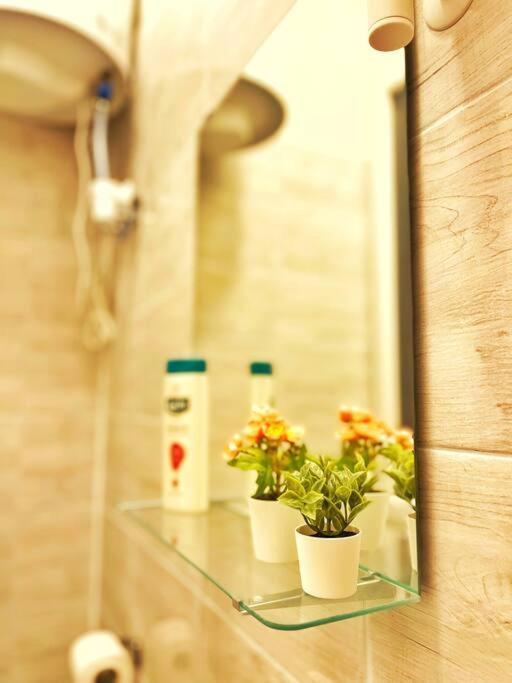 Central Studio Flat บูดาเปสต์ ภายนอก รูปภาพ